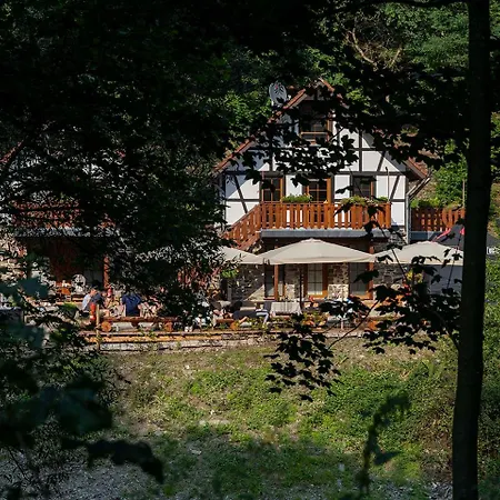 Rursee Schilsbachtal - Naturnahe Auszeit Am Rursee - Eifel-Ferienwohnungen Der Besonderen Art Simmerath Exterior photo