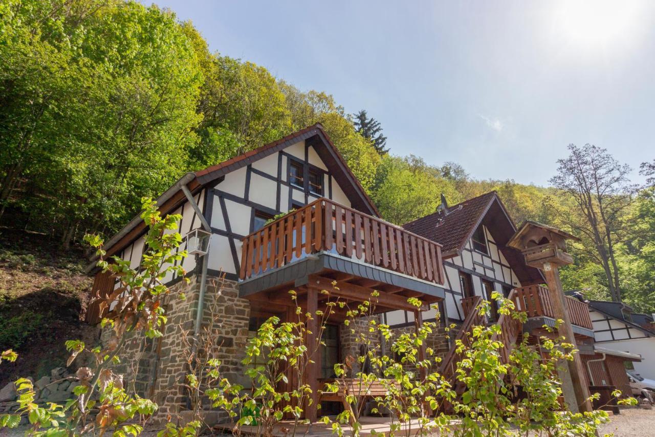 Rursee Schilsbachtal - Naturnahe Auszeit Am Rursee - Eifel-ferienwohnungen Der Besonderen Art