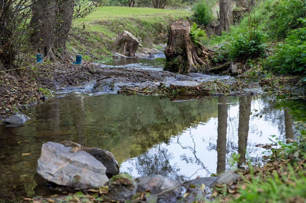 Rursee Schilsbachtal - Naturnahe Auszeit Am Rursee - Eifel-ferienwohnungen Der Besonderen Art Apartment *