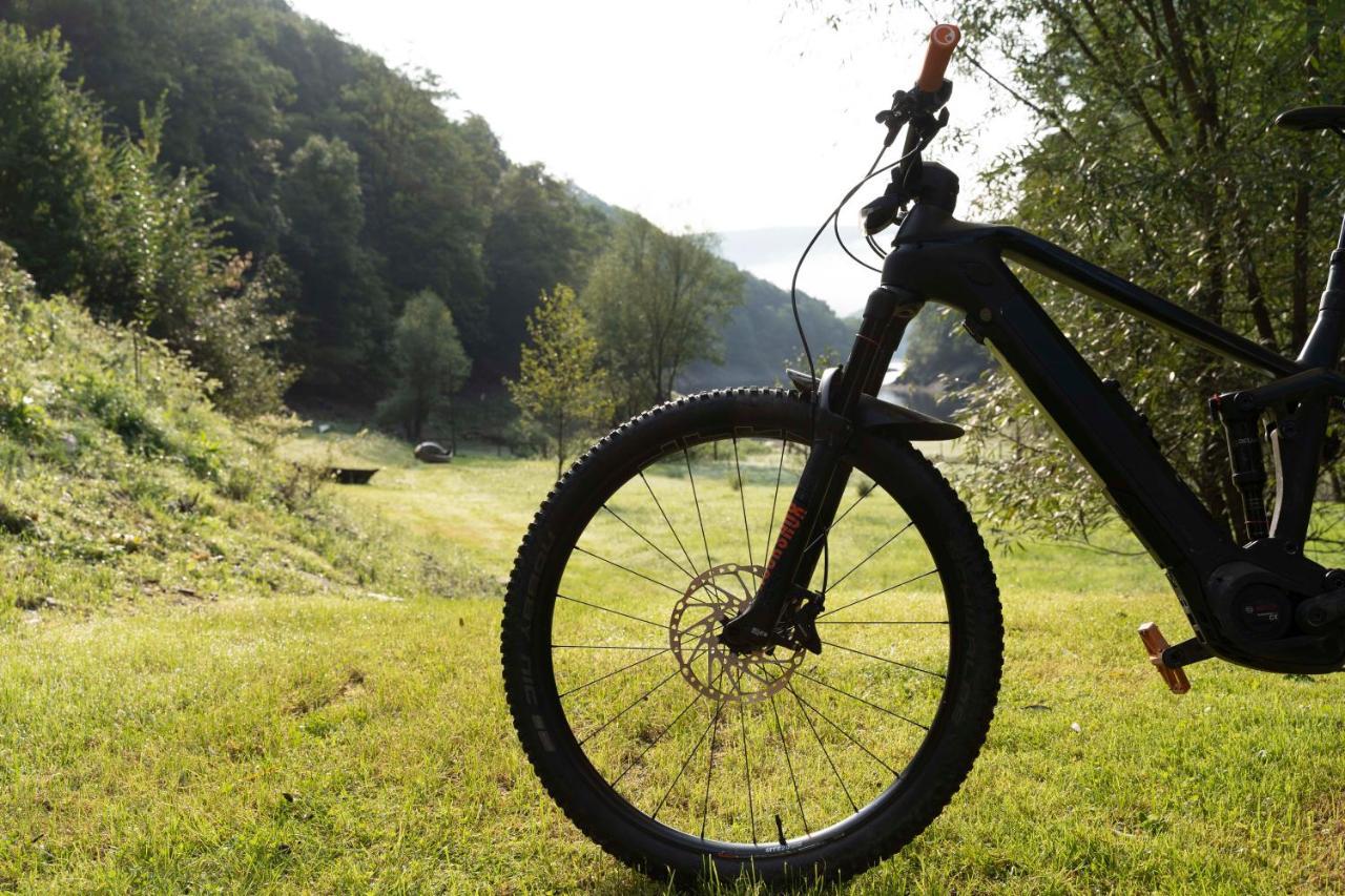 Rursee Schilsbachtal - Naturnahe Auszeit Am Rursee - Eifel-ferienwohnungen Der Besonderen Art Apartment