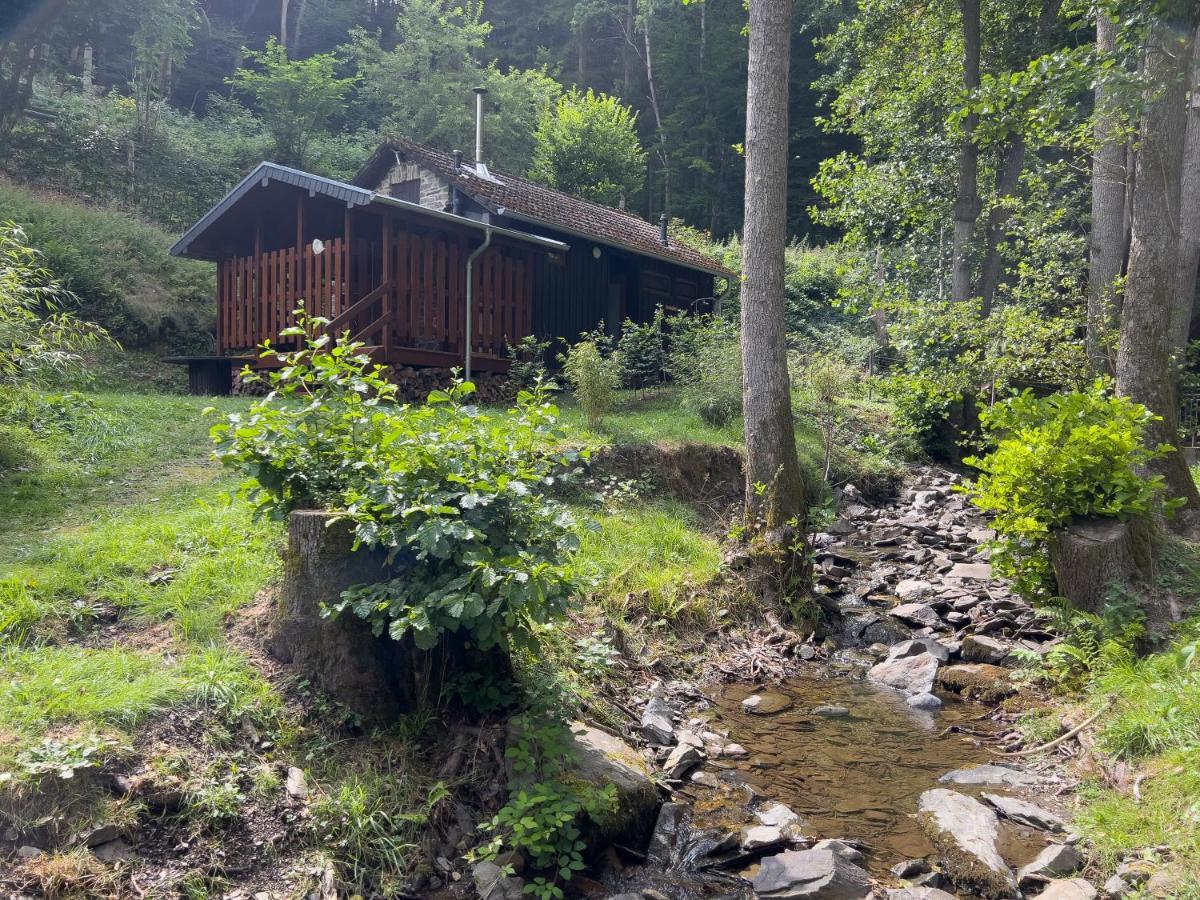 Rursee Schilsbachtal - Naturnahe Auszeit Am Rursee - Eifel-ferienwohnungen Der Besonderen Art Apartment